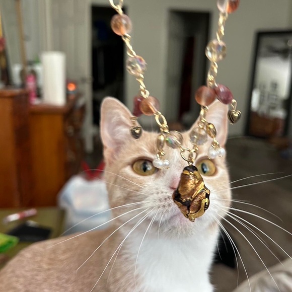 Handmade beaded pendant necklace
Kitty approved! - Picture 3 of 3